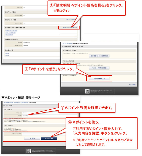 解説:月額レンタルでVポイントを使う場合 解説:月額レンタルでVポイントを使う場合